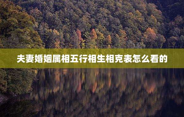 夫妻婚姻属相五行相生相克表怎么看的
