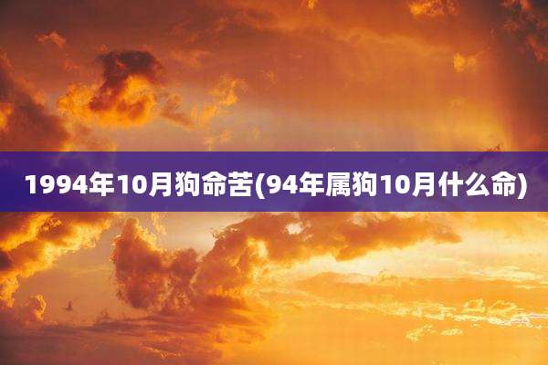 1994年10月狗命苦(94年属狗10月什么命)