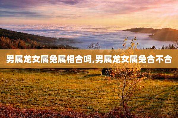 男属龙女属兔属相合吗,男属龙女属兔合不合
