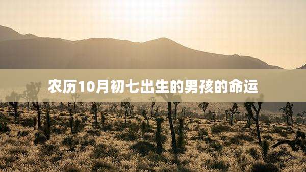 农历10月初七出生的男孩的命运