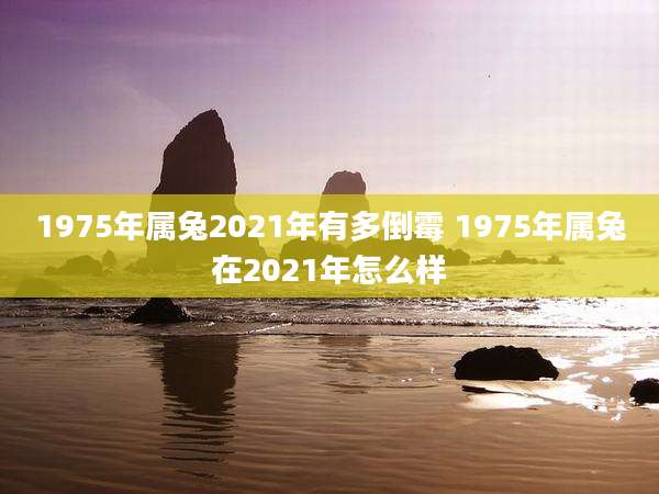 1975年属兔2021年有多倒霉 1975年属兔在2021年怎么样