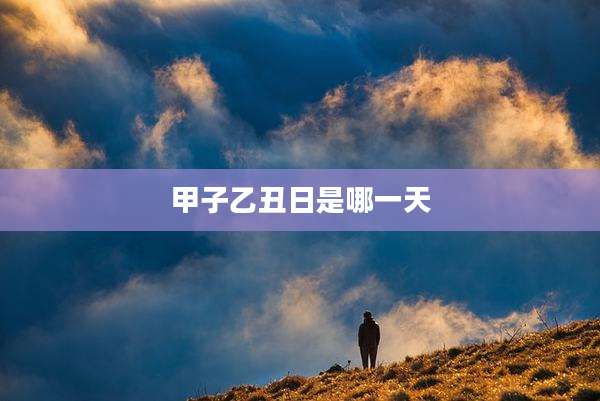 甲子乙丑日是哪一天