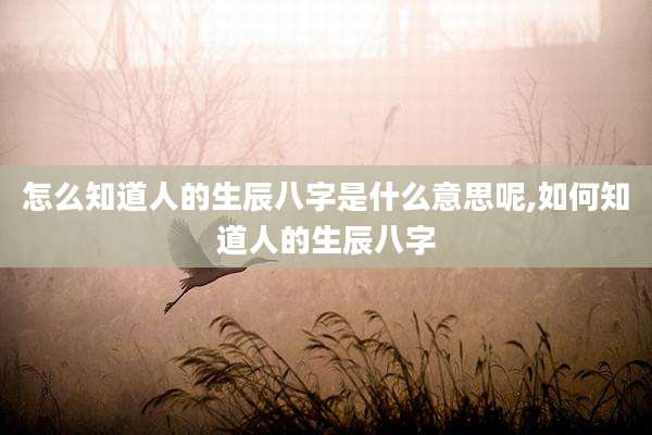 怎么知道人的生辰八字是什么意思呢,如何知道人的生辰八字