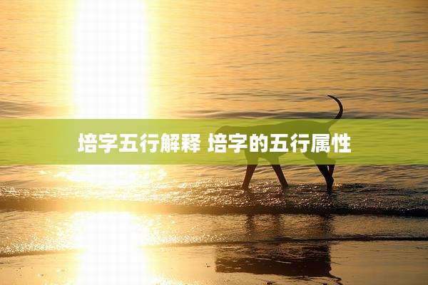 培字五行解释 培字的五行属性