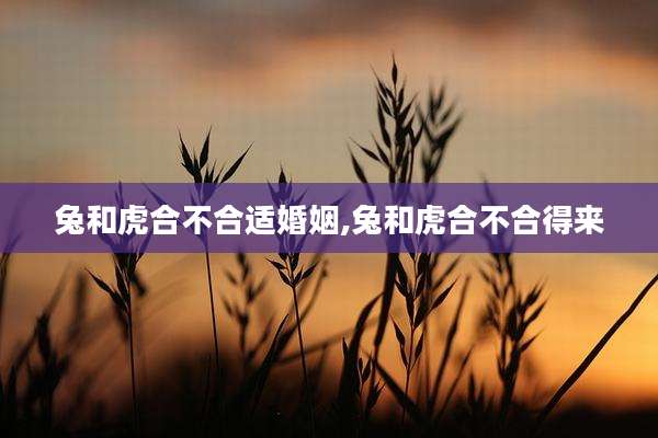 兔和虎合不合适婚姻,兔和虎合不合得来