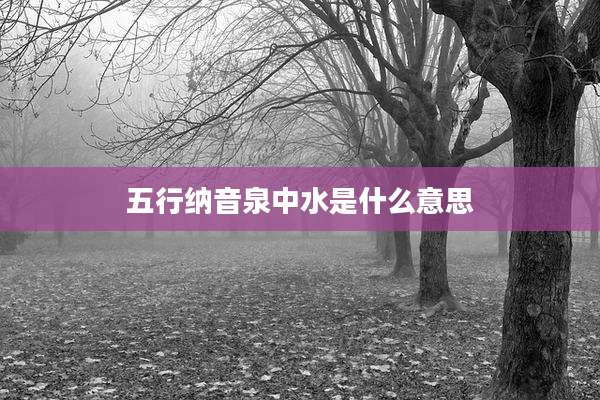 五行纳音泉中水是什么意思