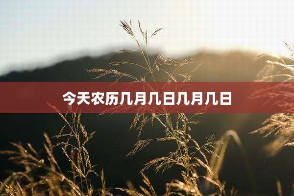 今天农历几月几日几月几日