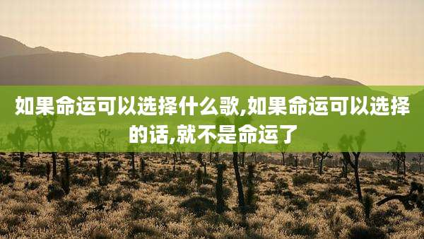 如果命运可以选择什么歌,如果命运可以选择的话,就不是命运了