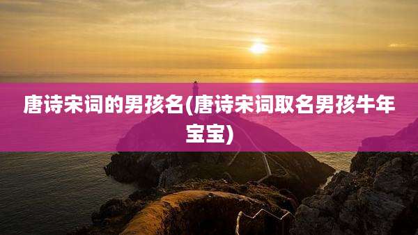 唐诗宋词的男孩名(唐诗宋词取名男孩牛年宝宝)