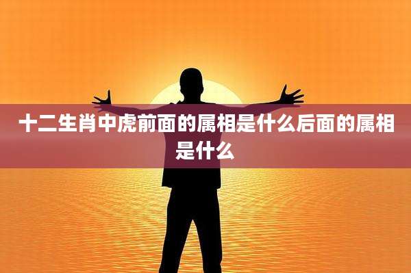 十二生肖中虎前面的属相是什么后面的属相是什么
