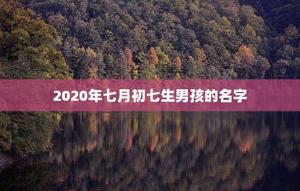 2020年七月初七生男孩的名字