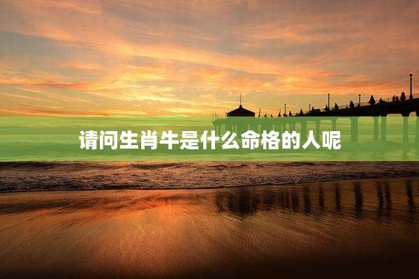 请问生肖牛是什么命格的人呢