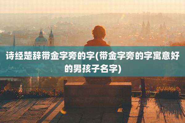 诗经楚辞带金字旁的字(带金字旁的字寓意好的男孩子名字)