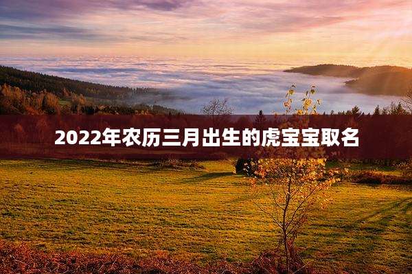 2022年农历三月出生的虎宝宝取名