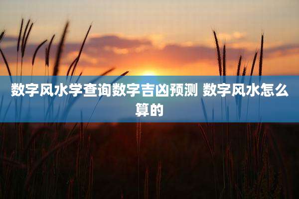 数字风水学查询数字吉凶预测 数字风水怎么算的