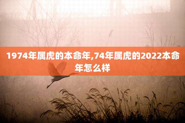 1974年属虎的本命年,74年属虎的2022本命年怎么样