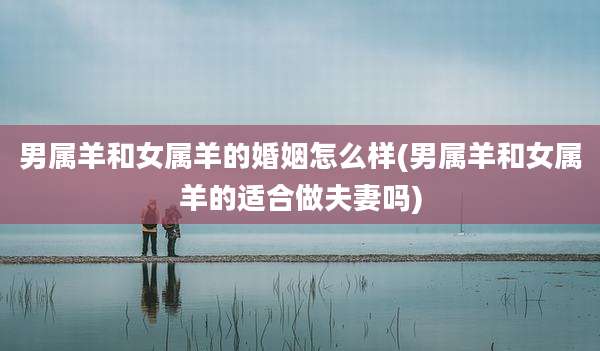 男属羊和女属羊的婚姻怎么样(男属羊和女属羊的适合做夫妻吗)