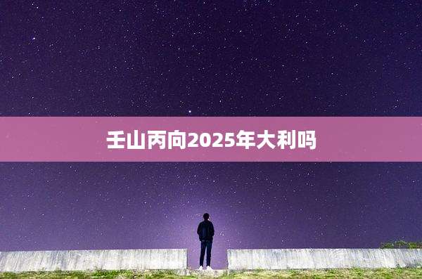 壬山丙向2025年大利吗