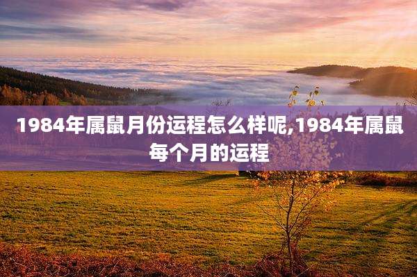 1984年属鼠月份运程怎么样呢,1984年属鼠每个月的运程