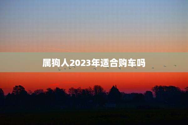 属狗人2023年适合购车吗