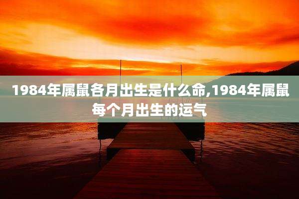 1984年属鼠各月出生是什么命,1984年属鼠每个月出生的运气
