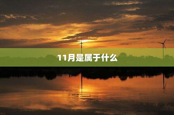 11月是属于什么