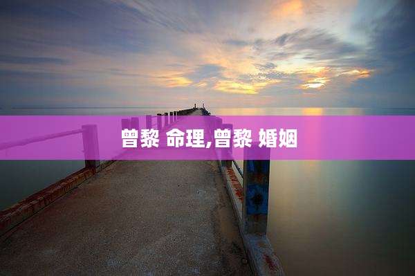 曾黎 命理,曾黎 婚姻