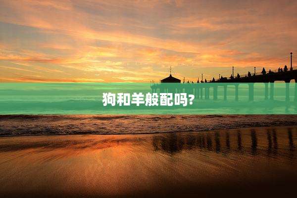 狗和羊般配吗?
