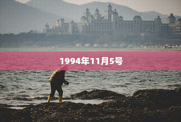 1994年11月5号