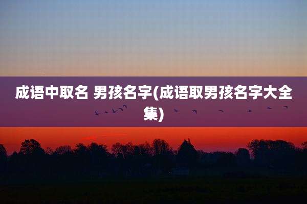成语中取名 男孩名字(成语取男孩名字大全集)