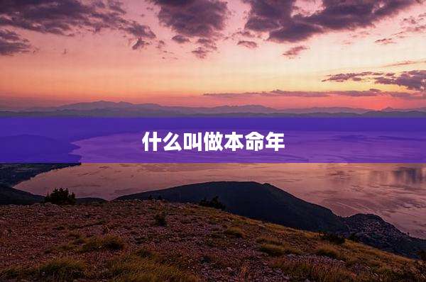 什么叫做本命年