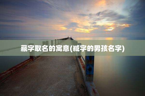 藏字取名的寓意(臧字的男孩名字)