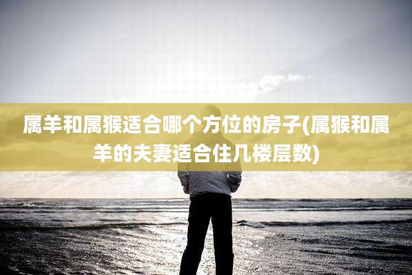 属羊和属猴适合哪个方位的房子(属猴和属羊的夫妻适合住几楼层数)