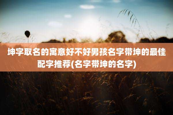 坤字取名的寓意好不好男孩名字带坤的最佳配字推荐(名字带坤的名字)