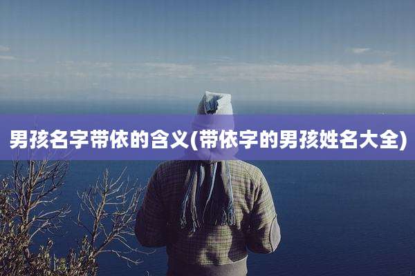 男孩名字带依的含义(带依字的男孩姓名大全)