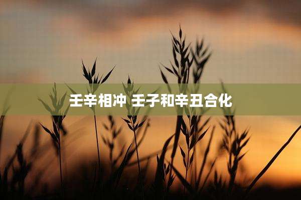 壬辛相冲 壬子和辛丑合化