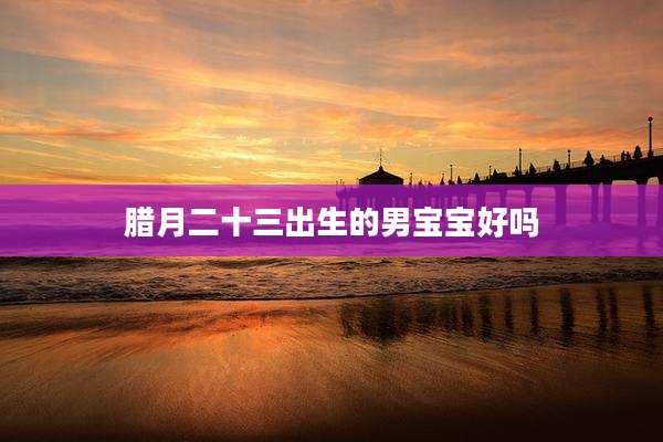 腊月二十三出生的男宝宝好吗