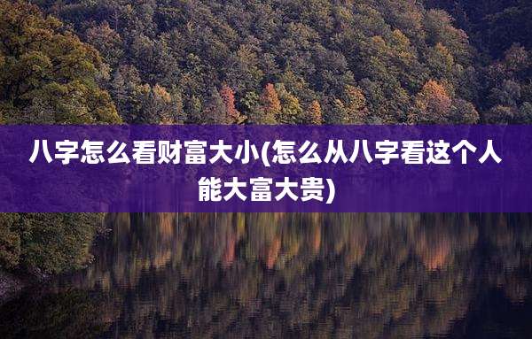 八字怎么看财富大小(怎么从八字看这个人能大富大贵)
