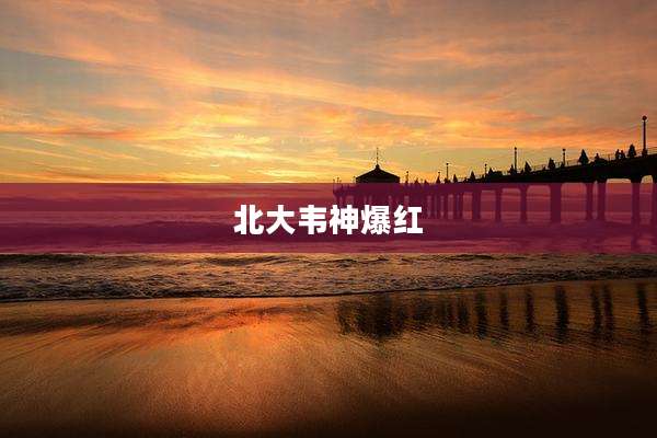 北大韦神爆红