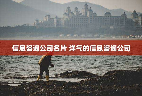 信息咨询公司名片 洋气的信息咨询公司