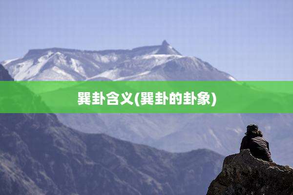 巽卦含义(巽卦的卦象)