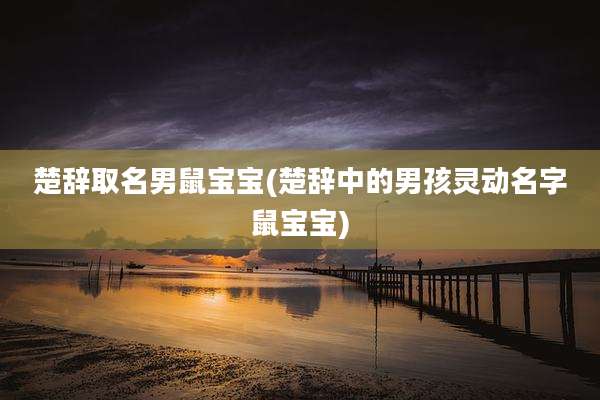 楚辞取名男鼠宝宝(楚辞中的男孩灵动名字鼠宝宝)