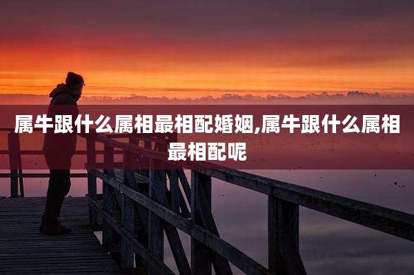属牛跟什么属相最相配婚姻,属牛跟什么属相最相配呢