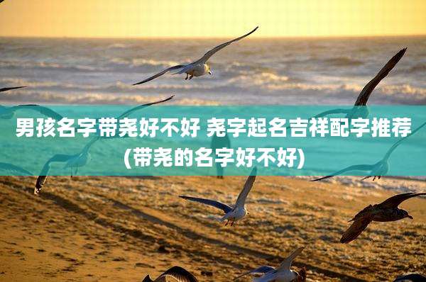 男孩名字带尧好不好 尧字起名吉祥配字推荐(带尧的名字好不好)