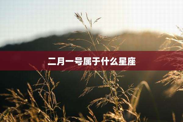 二月一号属于什么星座
