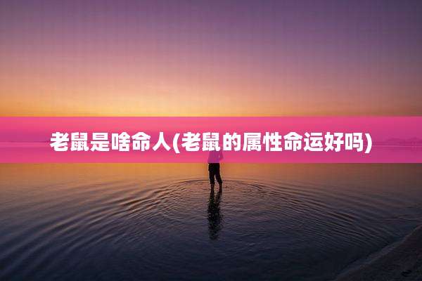 老鼠是啥命人(老鼠的属性命运好吗)