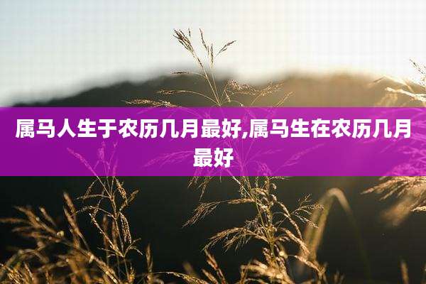 属马人生于农历几月最好,属马生在农历几月最好