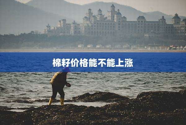 棉籽价格能不能上涨
