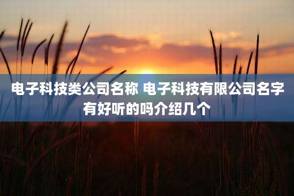 电子科技类公司名称 电子科技有限公司名字有好听的吗介绍几个