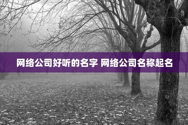 网络公司好听的名字 网络公司名称起名